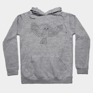 Robin Bird In Flight Flying Line Art Hoodie